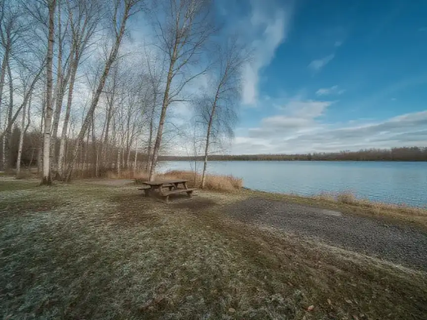 A lakeside picnic table on frosted grass among bare birch trees in late autumn